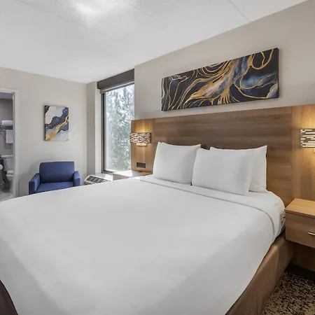 Surestay Plus Hotel By Best Western Chicago Lombard