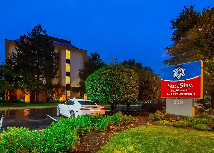 Surestay By Western Chicago Hotel 3*