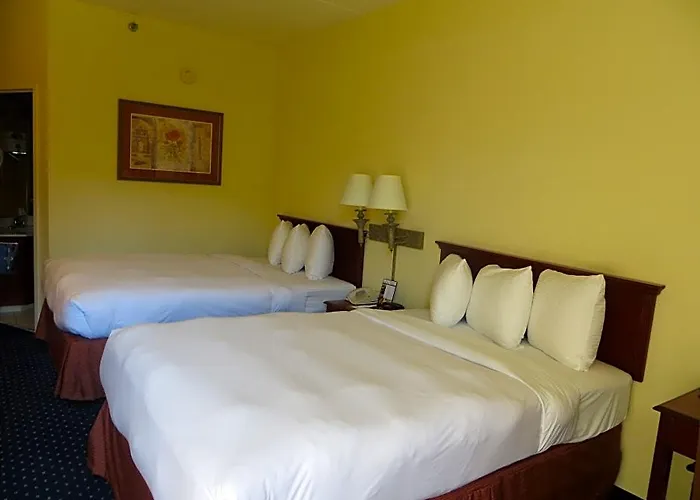 Surestay By Western Chicago Hotel